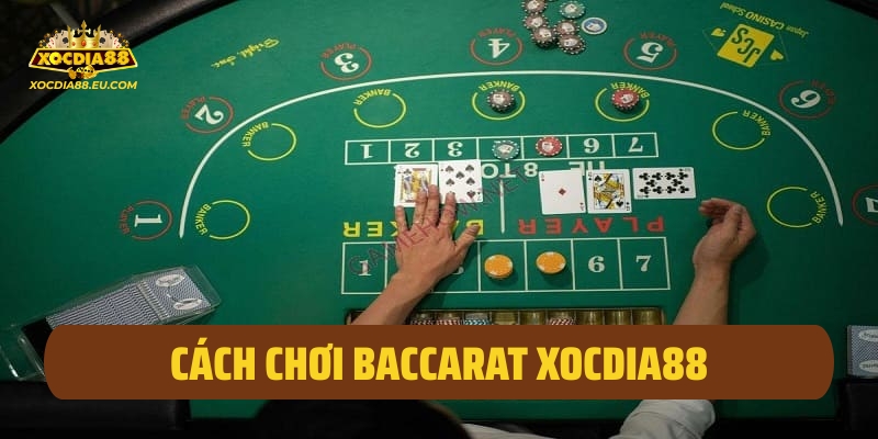Cách chơi Baccarat Xocdia88