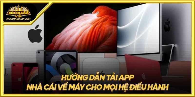 Các bước chi tiết để tải ứng dụng trên điện thoại