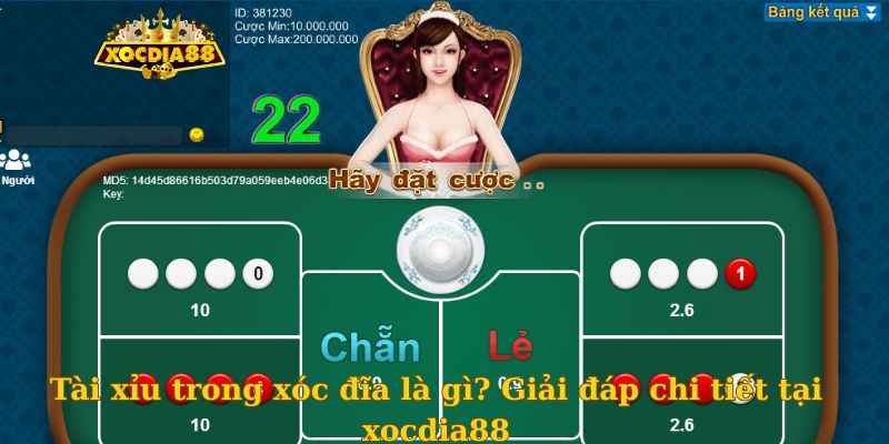 Tài xỉu trong xóc đĩa là gì? Giải đáp chi tiết tại xocdia88