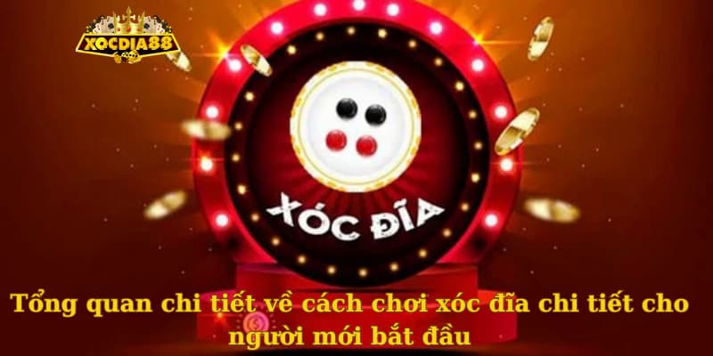 Tổng quan chi tiết về cách chơi xóc đĩa chi tiết cho người mới bắt đầu