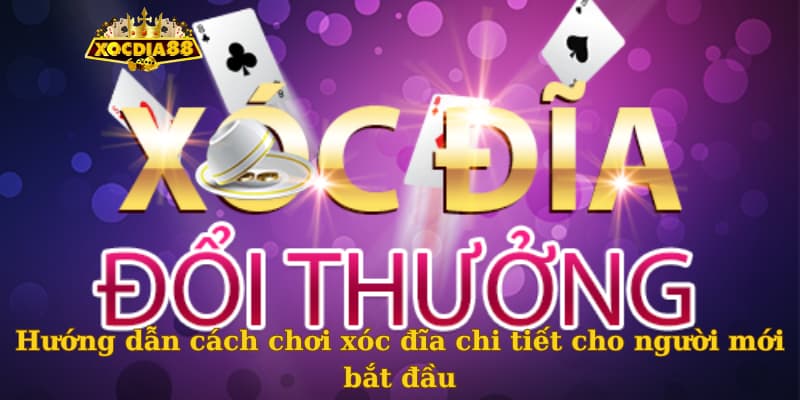 Hướng dẫn cách chơi xóc đĩa chi tiết cho người mới bắt đầu