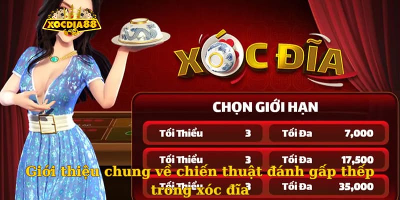 Giới thiệu chung về chiến thuật đánh gấp thếp trong xóc đĩa