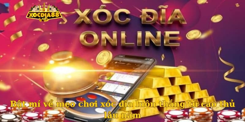 Bật mí về mẹo chơi xóc đĩa luôn thắng từ cao thủ lâu năm