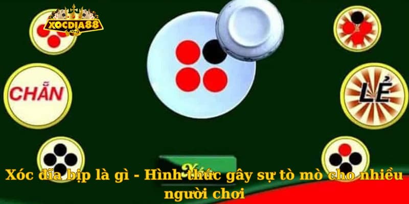 Xóc đĩa bịp là gì - Hình thức gây sự tò mò cho nhiều người chơi