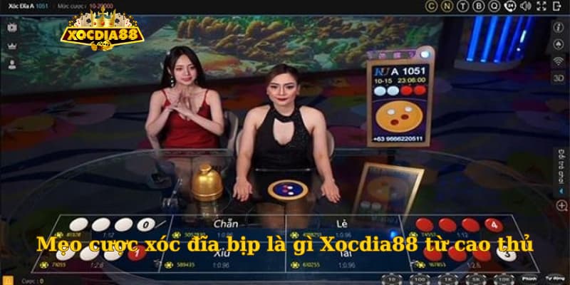 Mẹo cược xóc đĩa bịp là gì Xocdia88 từ cao thủ